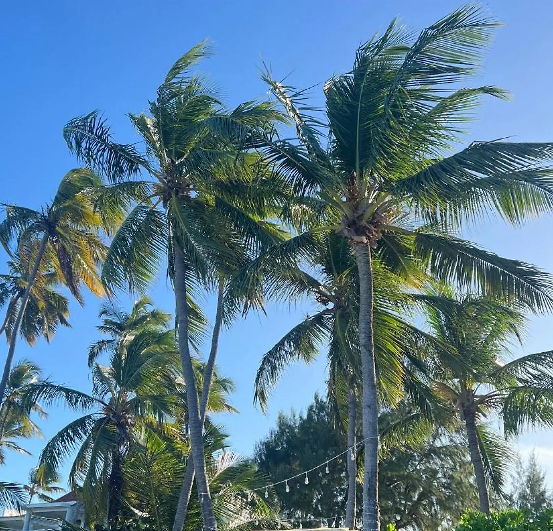 Bavaro Punta Cana Beach Pool Ducassi Sol Caribe Los Corales 0*,  Repubblica Dominicana